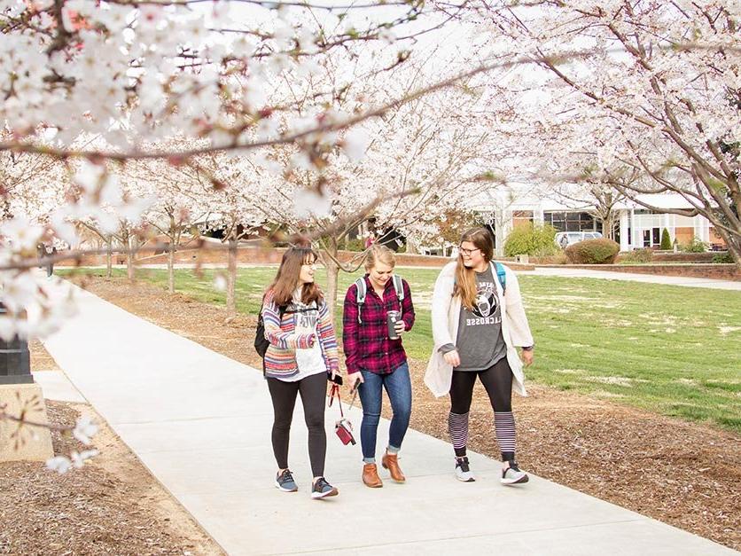 学生们在樱花下散步